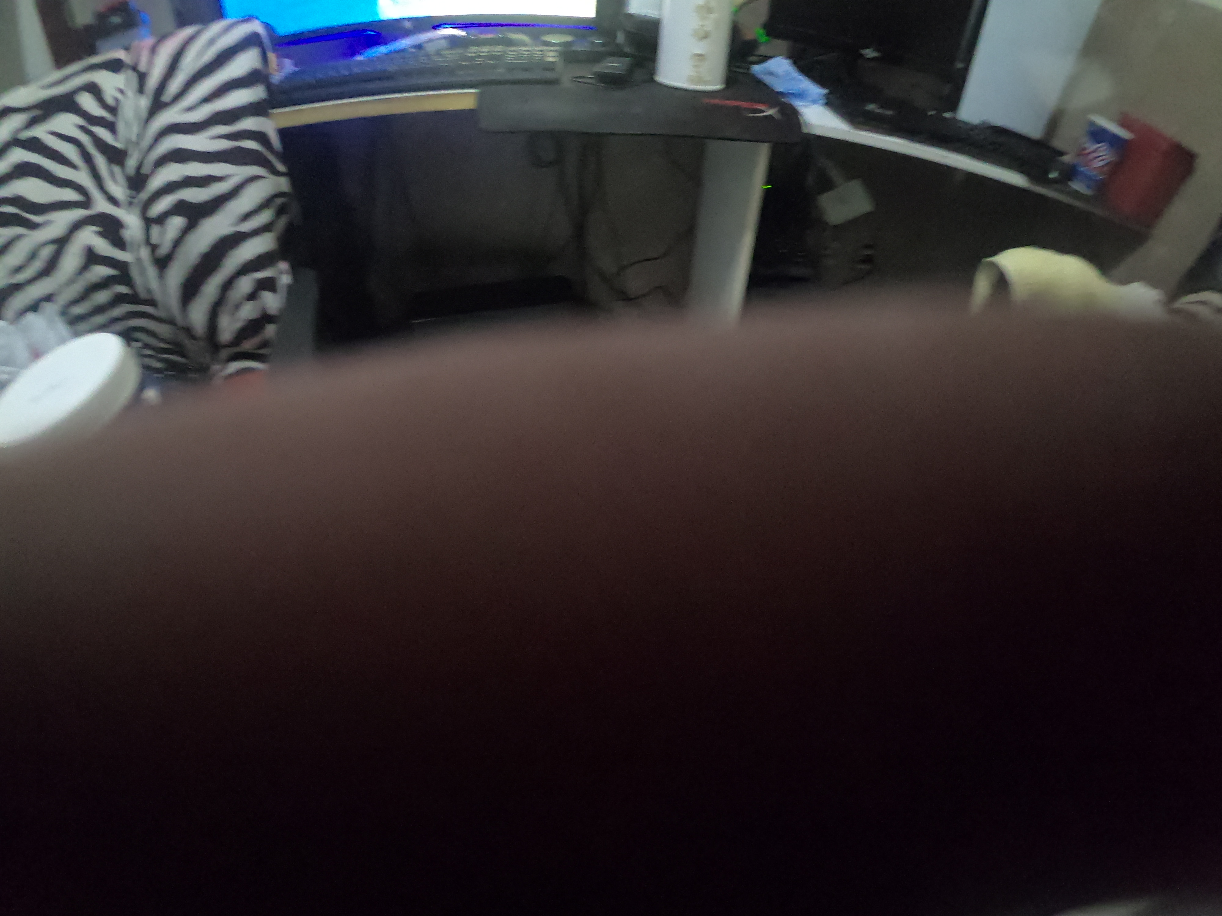 http://images.introcdc.com/GoPro/Casa/G0018057.JPG