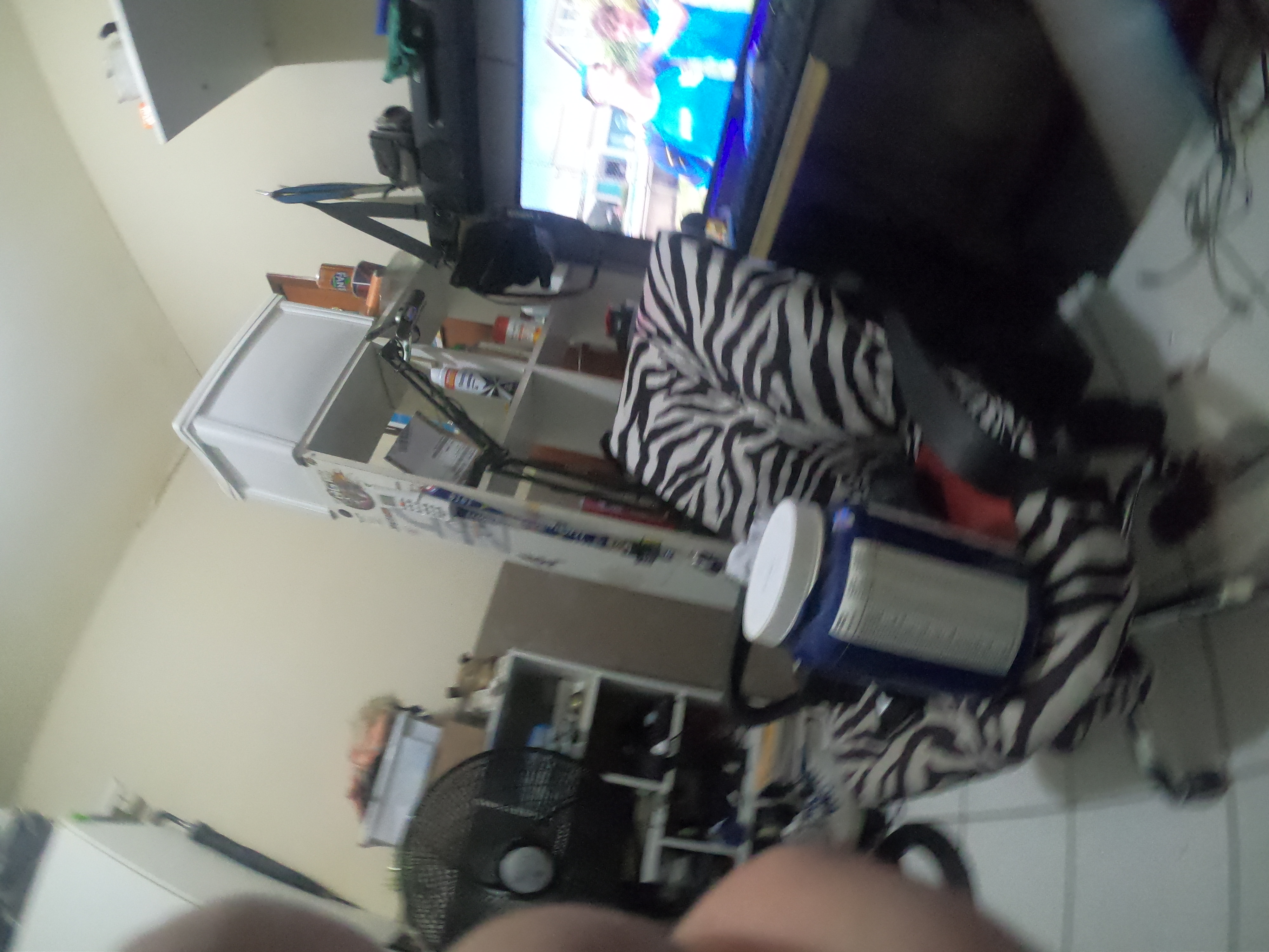 http://images.introcdc.com/GoPro/Casa/G0018070.JPG