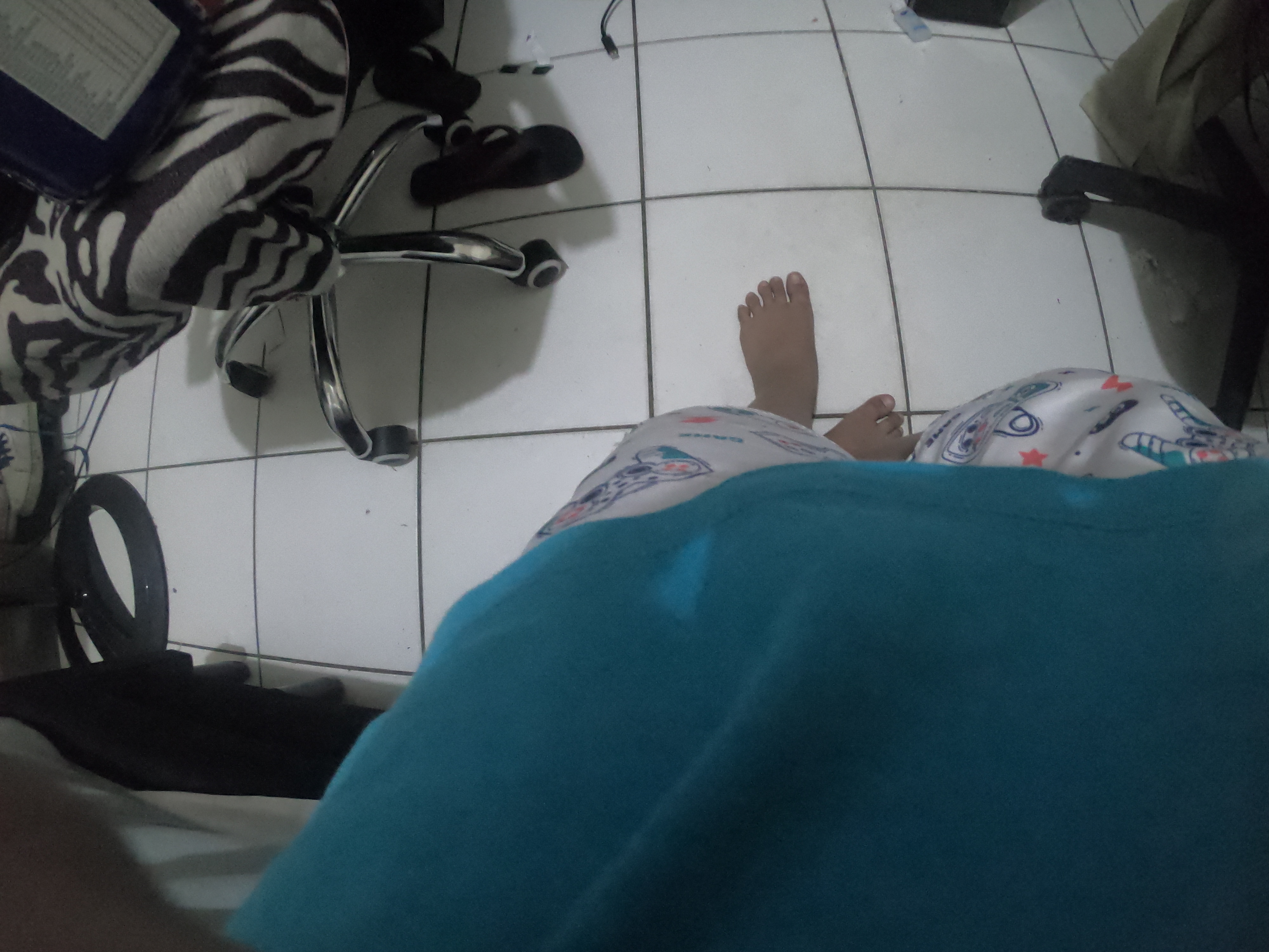 http://images.introcdc.com/GoPro/Casa/G0018079.JPG