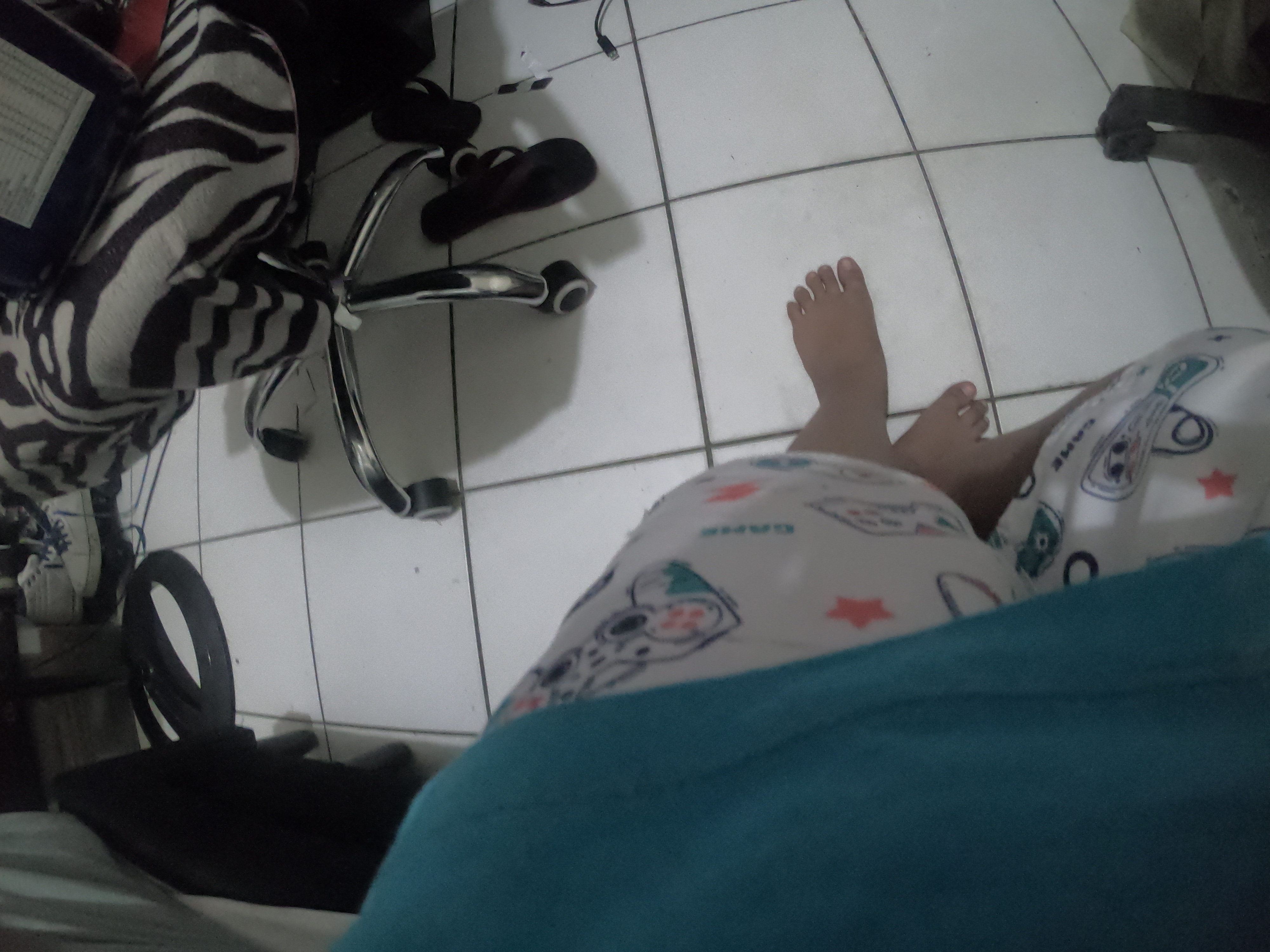 http://images.introcdc.com/GoPro/Casa/G0018082.JPG