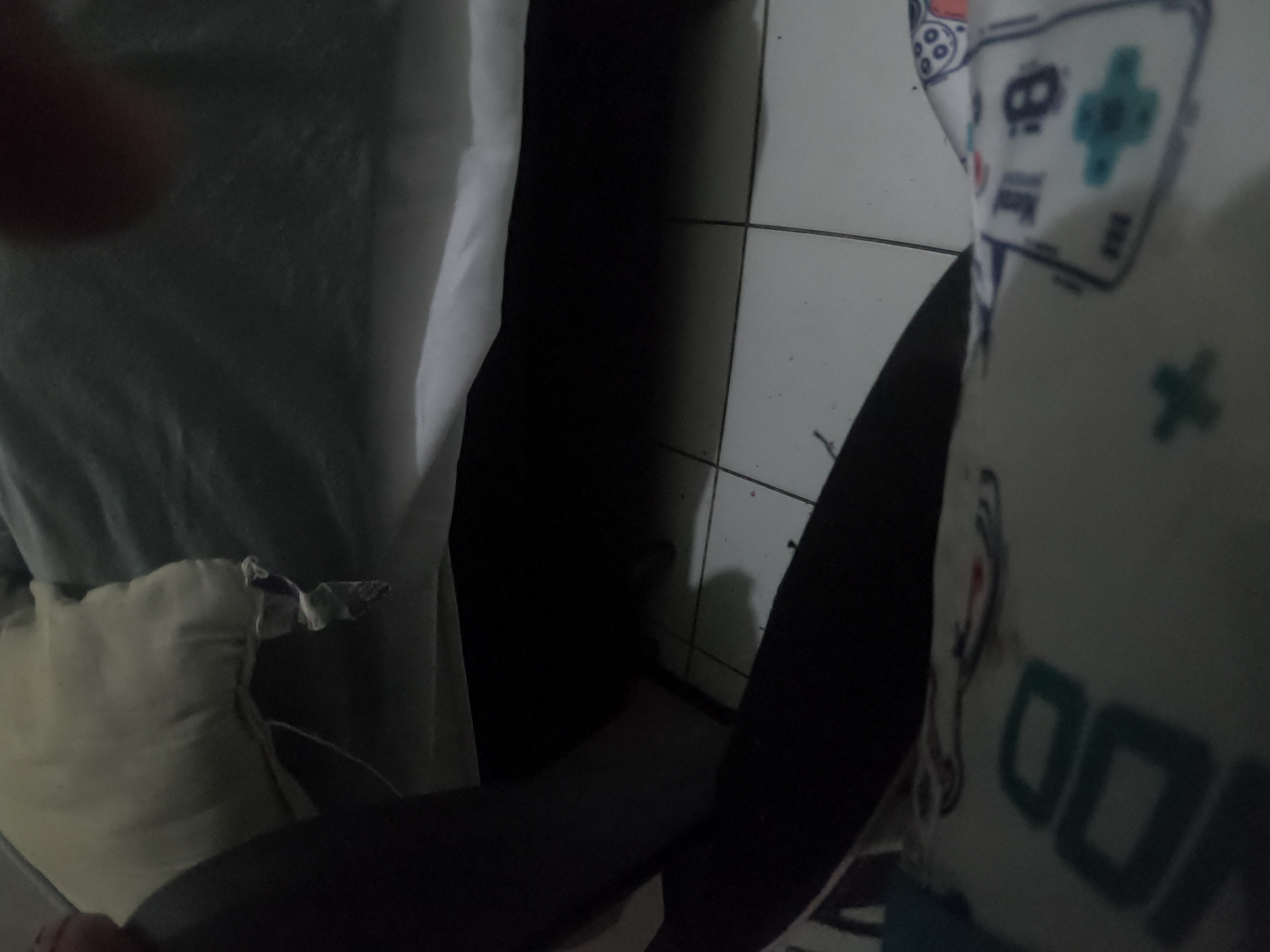 http://images.introcdc.com/GoPro/Casa/G0018105.JPG