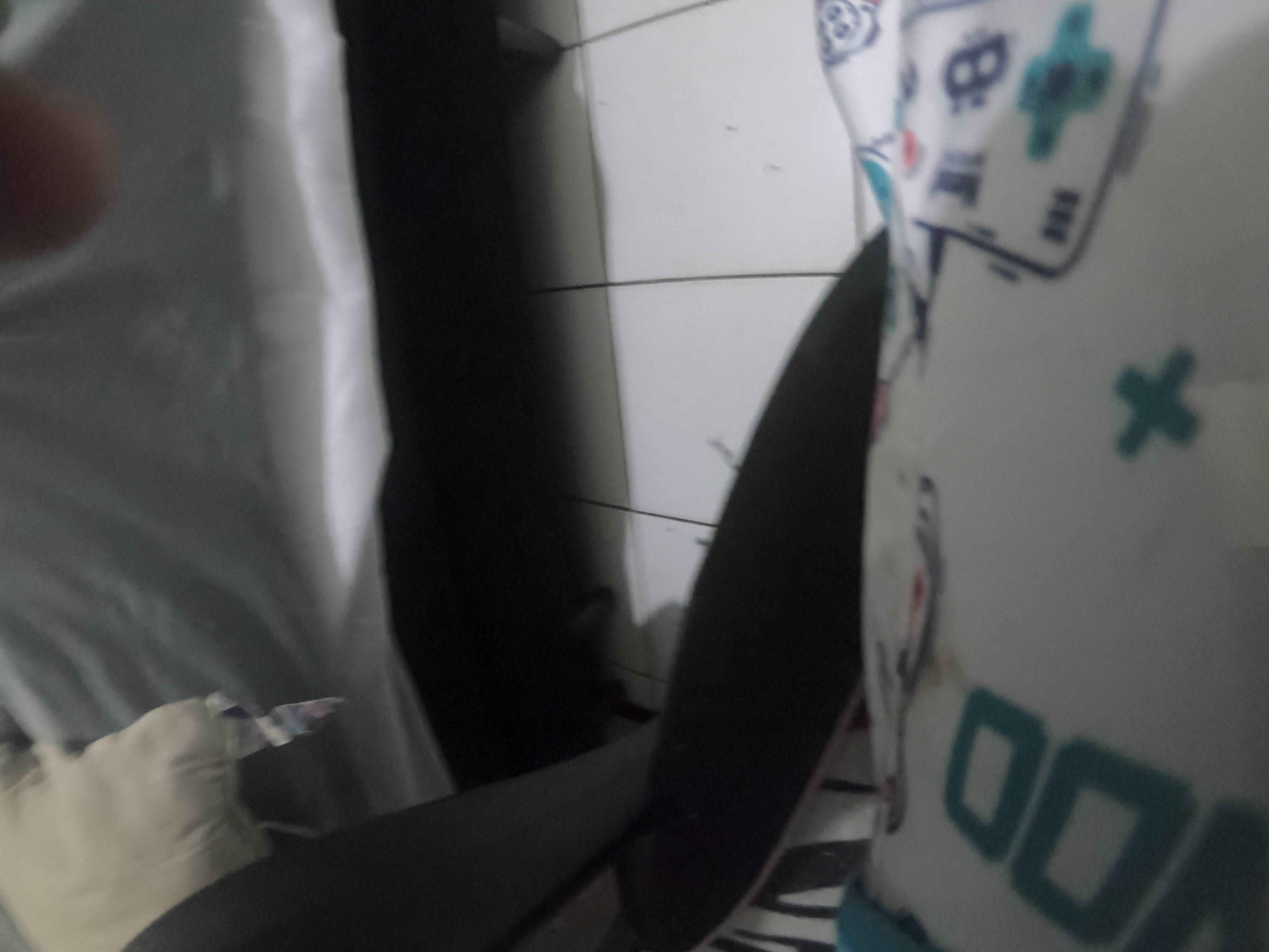 http://images.introcdc.com/GoPro/Casa/G0018114.JPG
