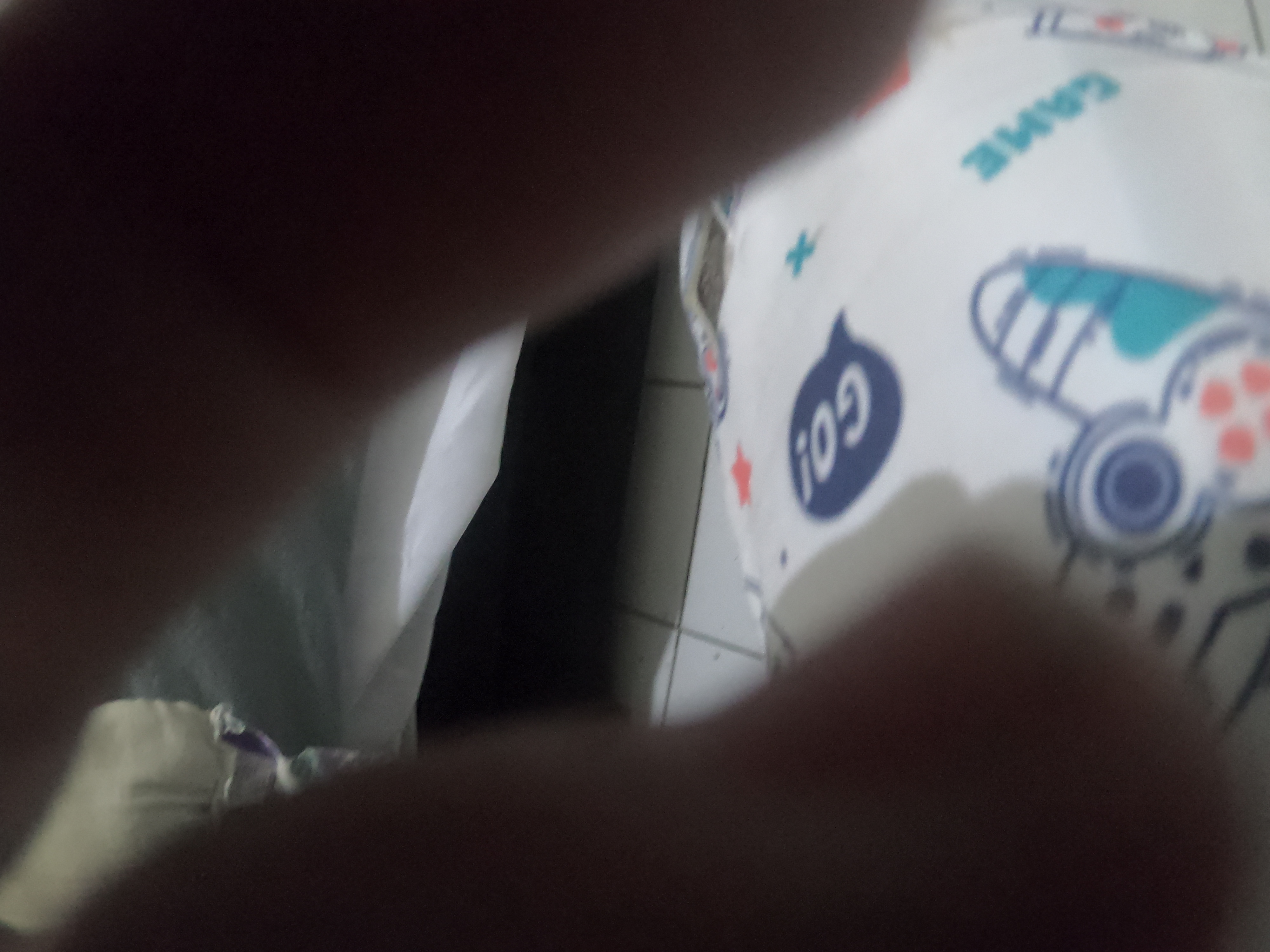 http://images.introcdc.com/GoPro/Casa/G0018119.JPG